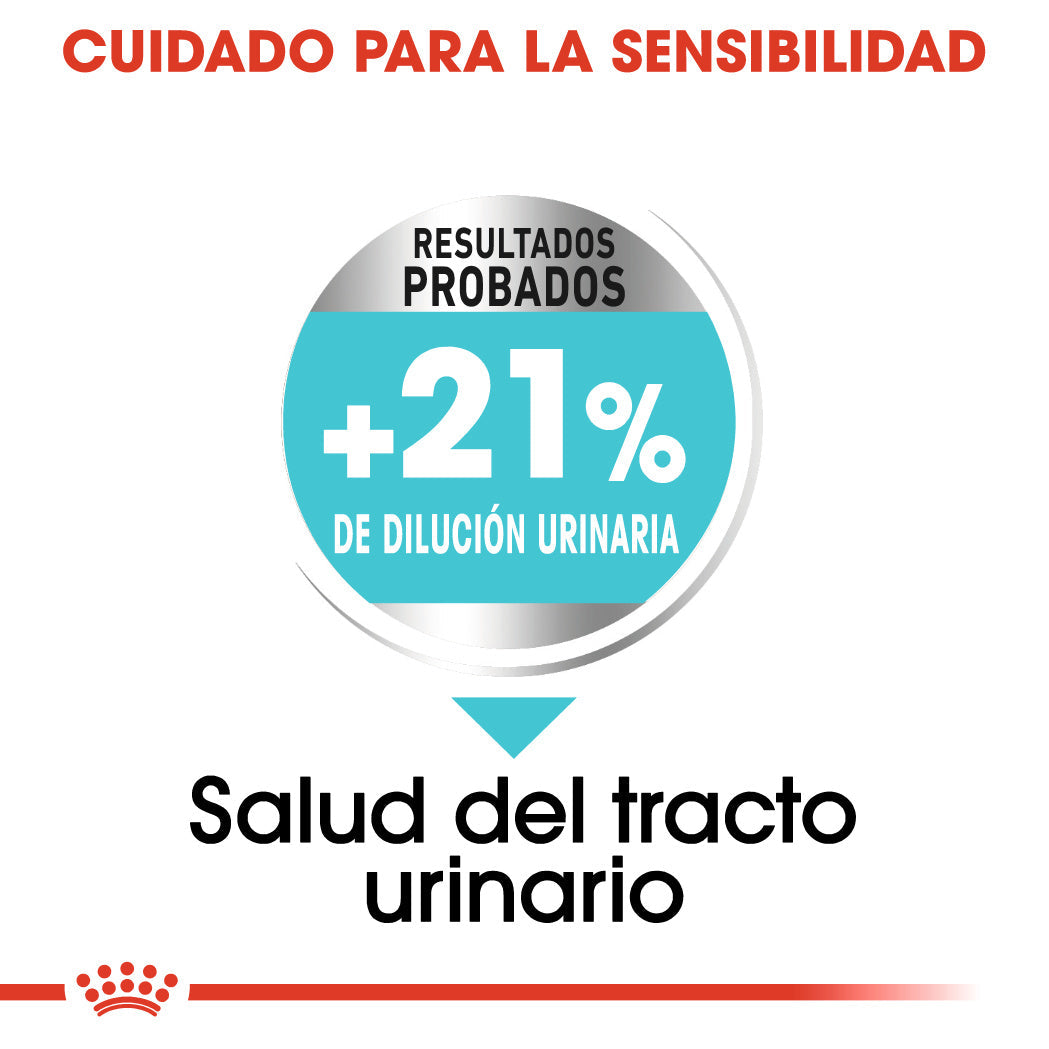 Royal Canin Mini Urinary Care Pienso para Perros al mejor precio -Todoanimal.es