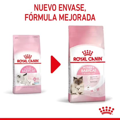Royal Canin Mother And Babycat al mejor precio -Todoanimal.es