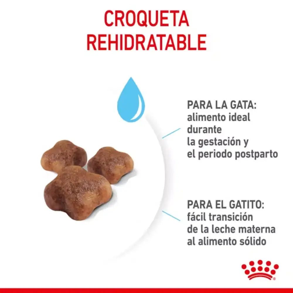 Royal Canin Mother And Babycat al mejor precio -Todoanimal.es