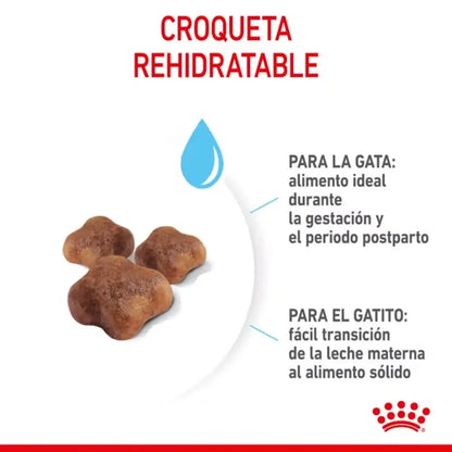 Royal Canin Mother And Babycat al mejor precio -Todoanimal.es