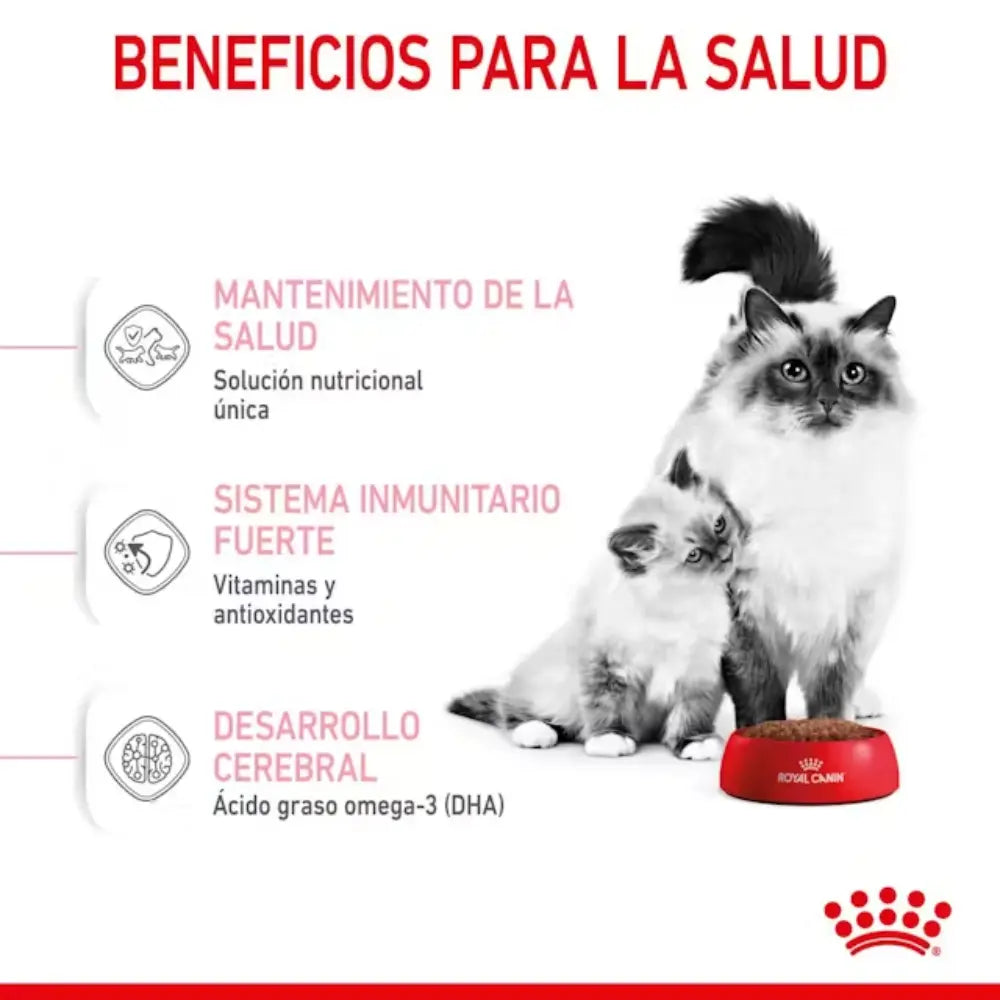 Royal Canin Mother And Babycat al mejor precio -Todoanimal.es