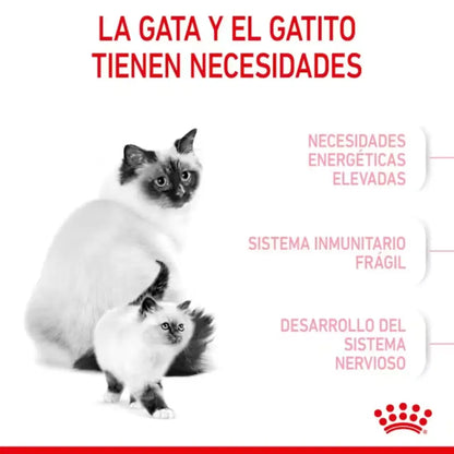 Royal Canin Mother And Babycat al mejor precio -Todoanimal.es
