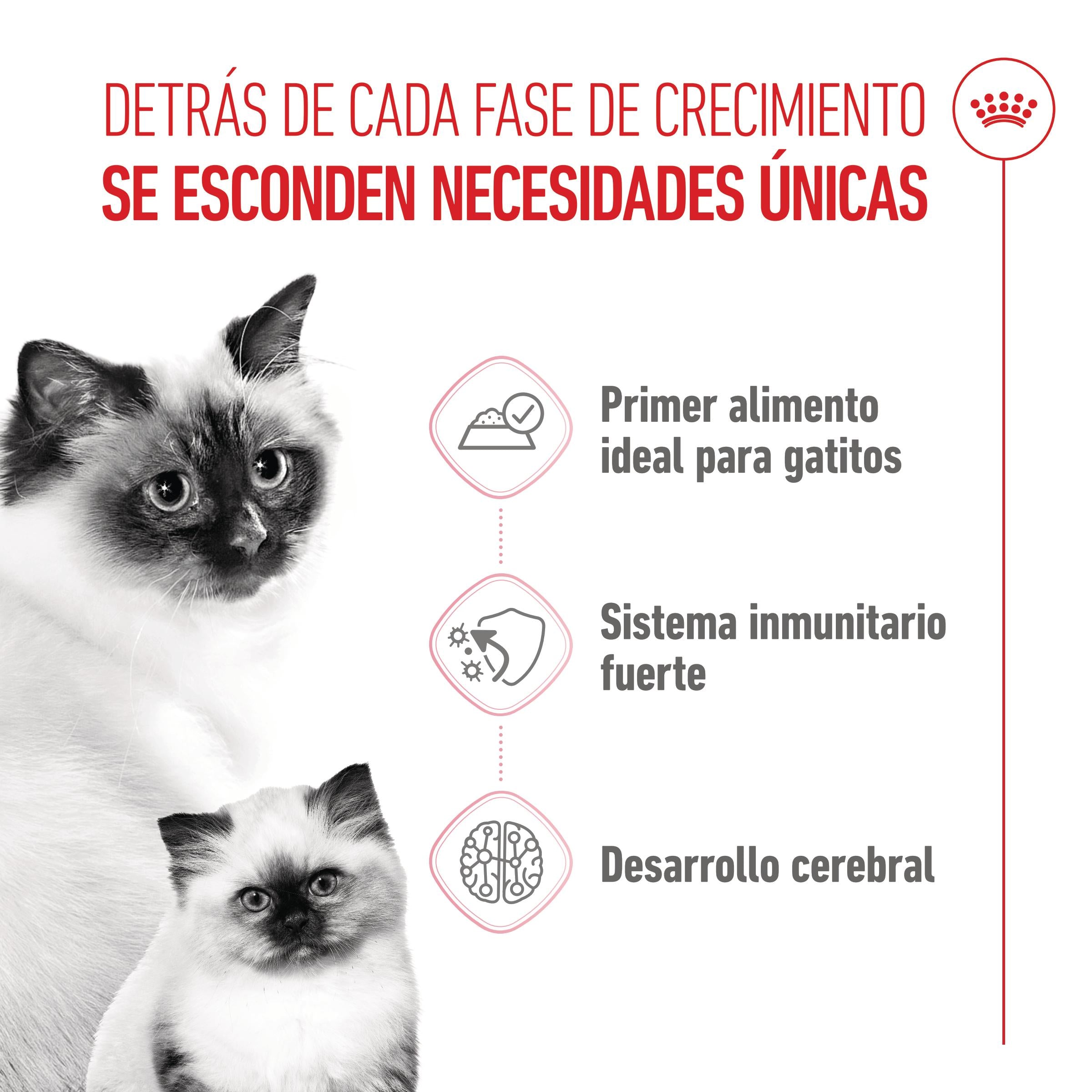 Royal Canin Mother & Babycat 195 g Lata Mousse para Gatitos y Gatas Embarazadas o en Lactancia al mejor precio -Todoanimal.es