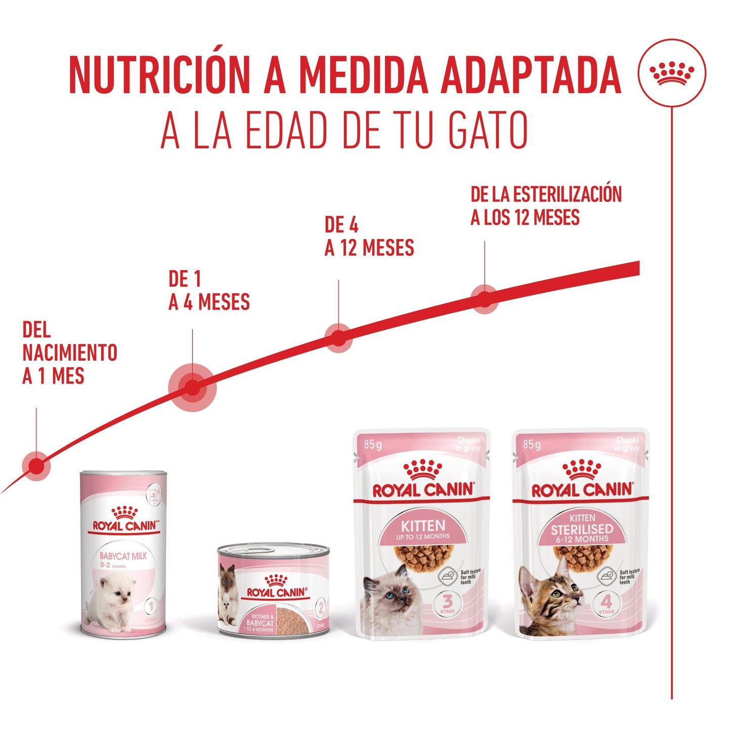 Royal Canin Mother & Babycat 195 g Lata Mousse para Gatitos y Gatas Embarazadas o en Lactancia al mejor precio -Todoanimal.es