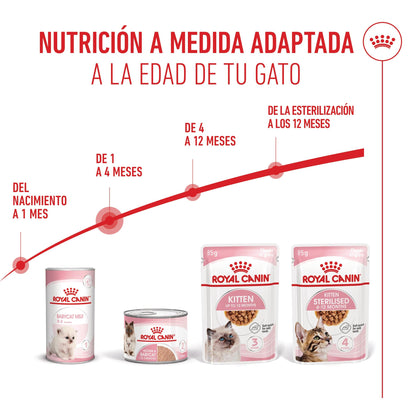 Royal Canin Mother & Babycat 195 g Lata Mousse para Gatitos y Gatas Embarazadas o en Lactancia al mejor precio -Todoanimal.es