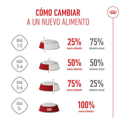 Royal Canin Mother & Babycat 195 g Lata Mousse para Gatitos y Gatas Embarazadas o en Lactancia al mejor precio -Todoanimal.es