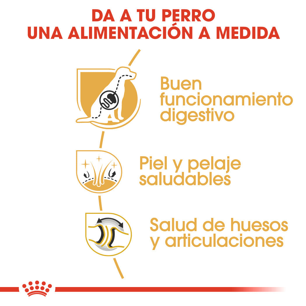 Royal Canin Pastor Alemán Adult 11 kg Pienso para Perros de Raza al mejor precio -Todoanimal.es