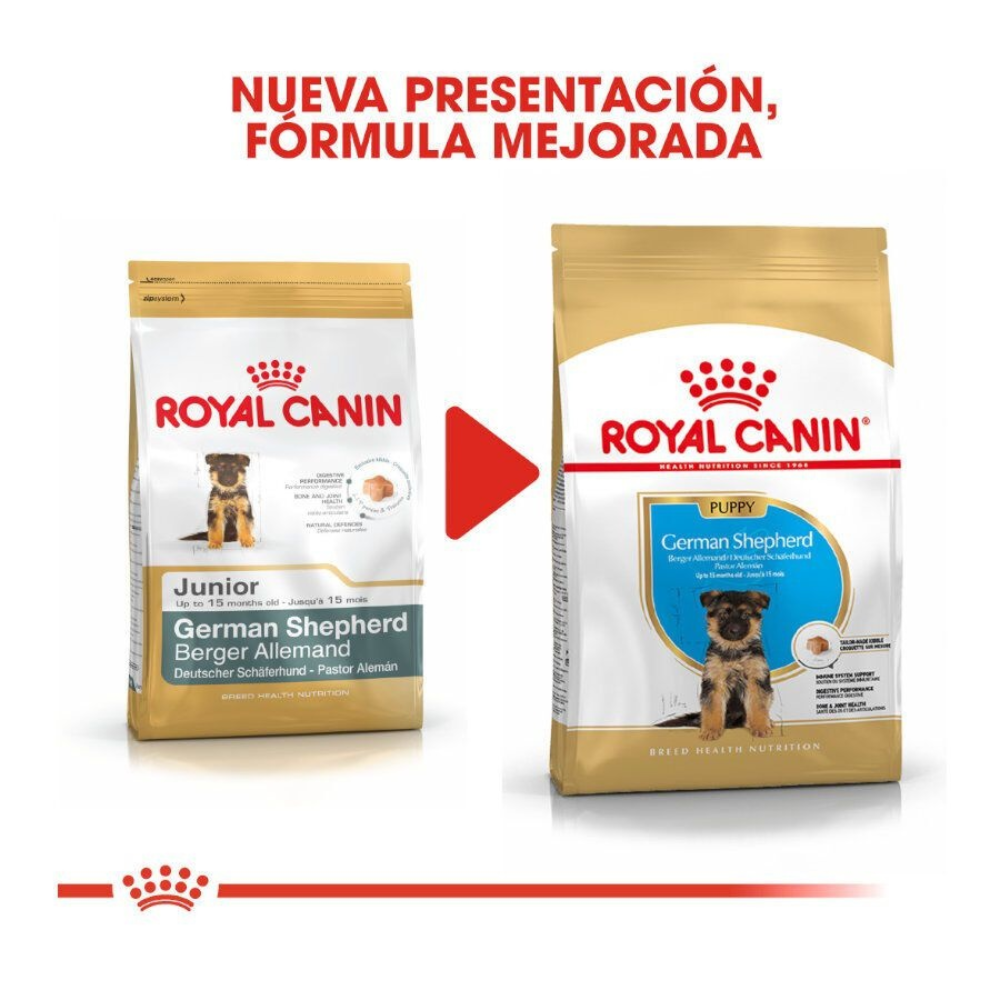 Royal Canin Pastor Alemán Junior Pienso para Cachorros al mejor precio -Todoanimal.es