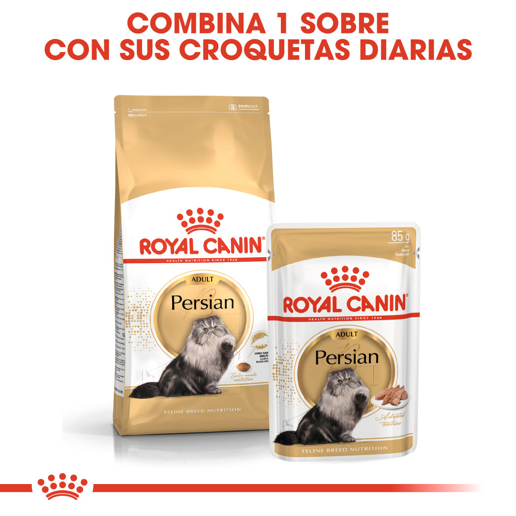 Royal Canin Persian 85 g Paté Húmedo para Gatos al mejor precio -Todoanimal.es