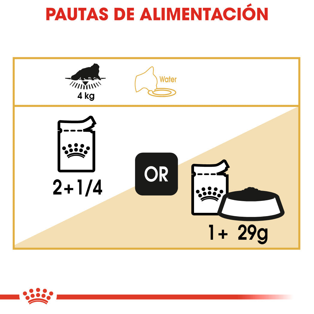 Royal Canin Persian 85 g Paté Húmedo para Gatos al mejor precio -Todoanimal.es