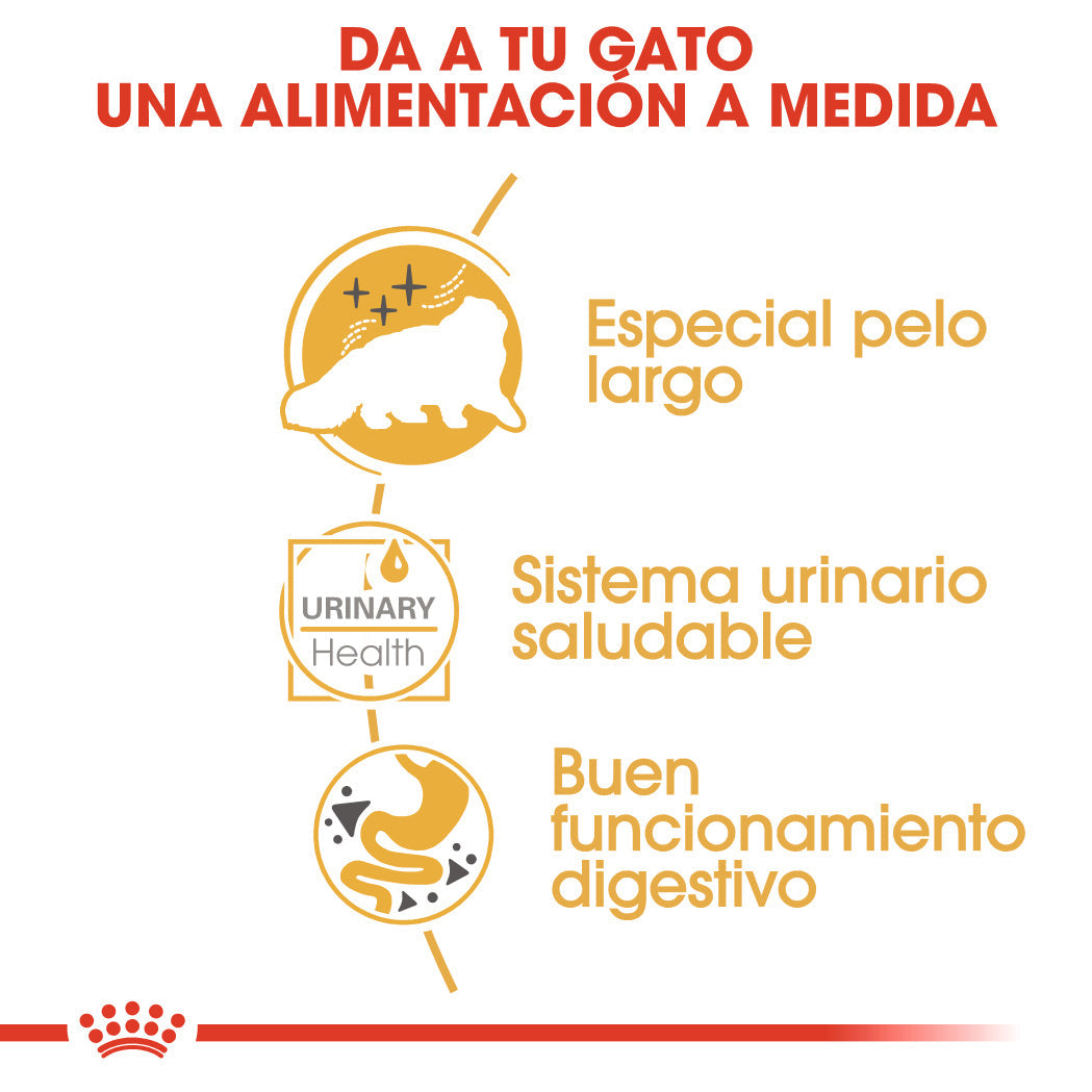 Royal Canin Persian 85 g Paté Húmedo para Gatos al mejor precio -Todoanimal.es