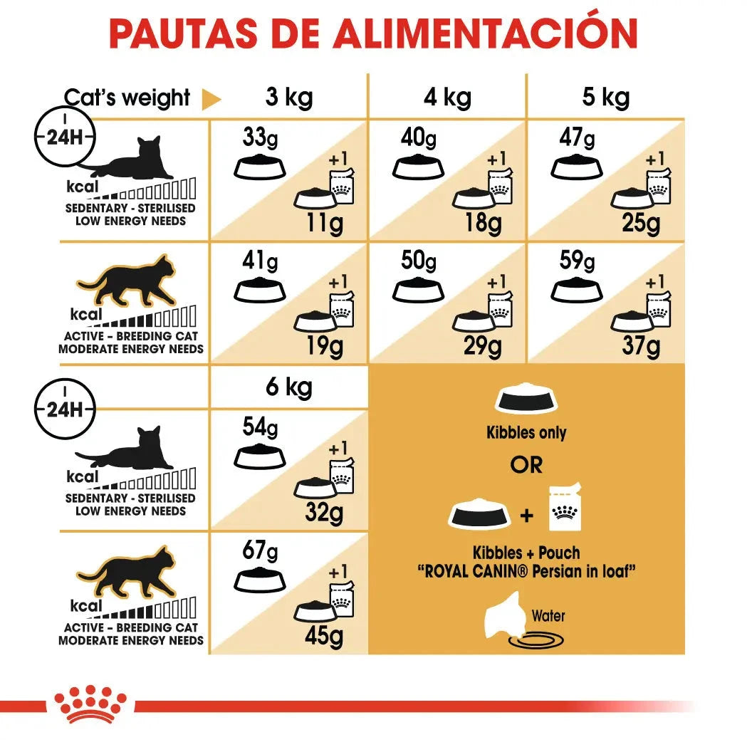 Royal Canin Persian Adulto Pienso para Gatos de Raza Persa al mejor precio -Todoanimal.es