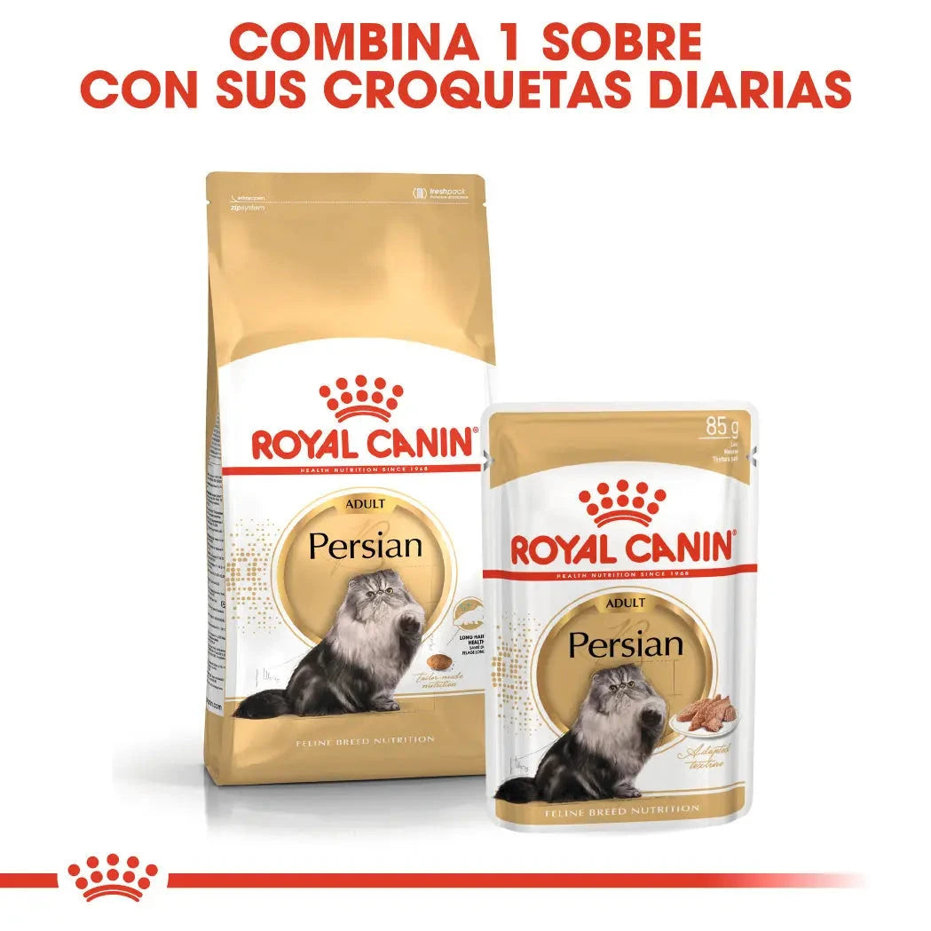 Royal Canin Persian Adulto Pienso para Gatos de Raza Persa al mejor precio -Todoanimal.es
