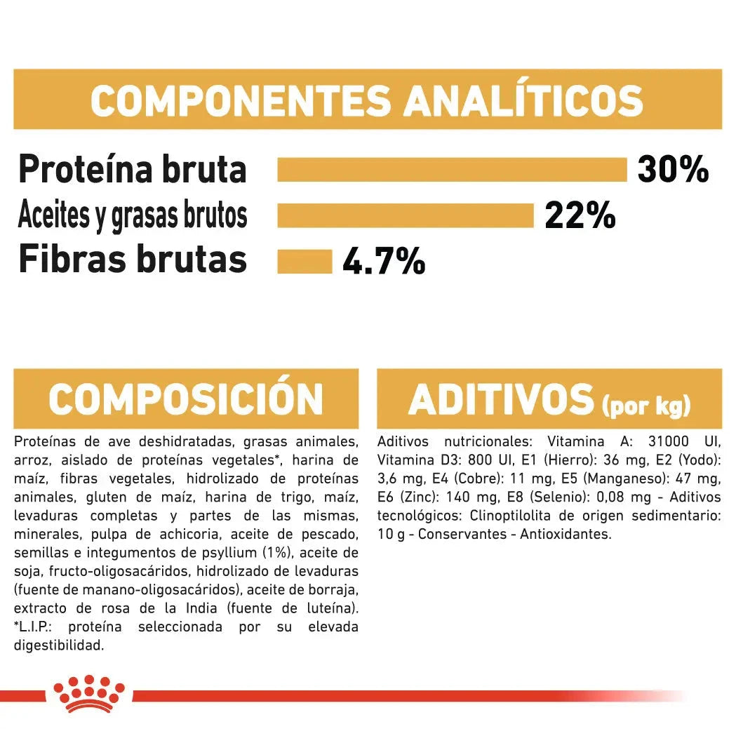 Royal Canin Persian Adulto Pienso para Gatos de Raza Persa al mejor precio -Todoanimal.es