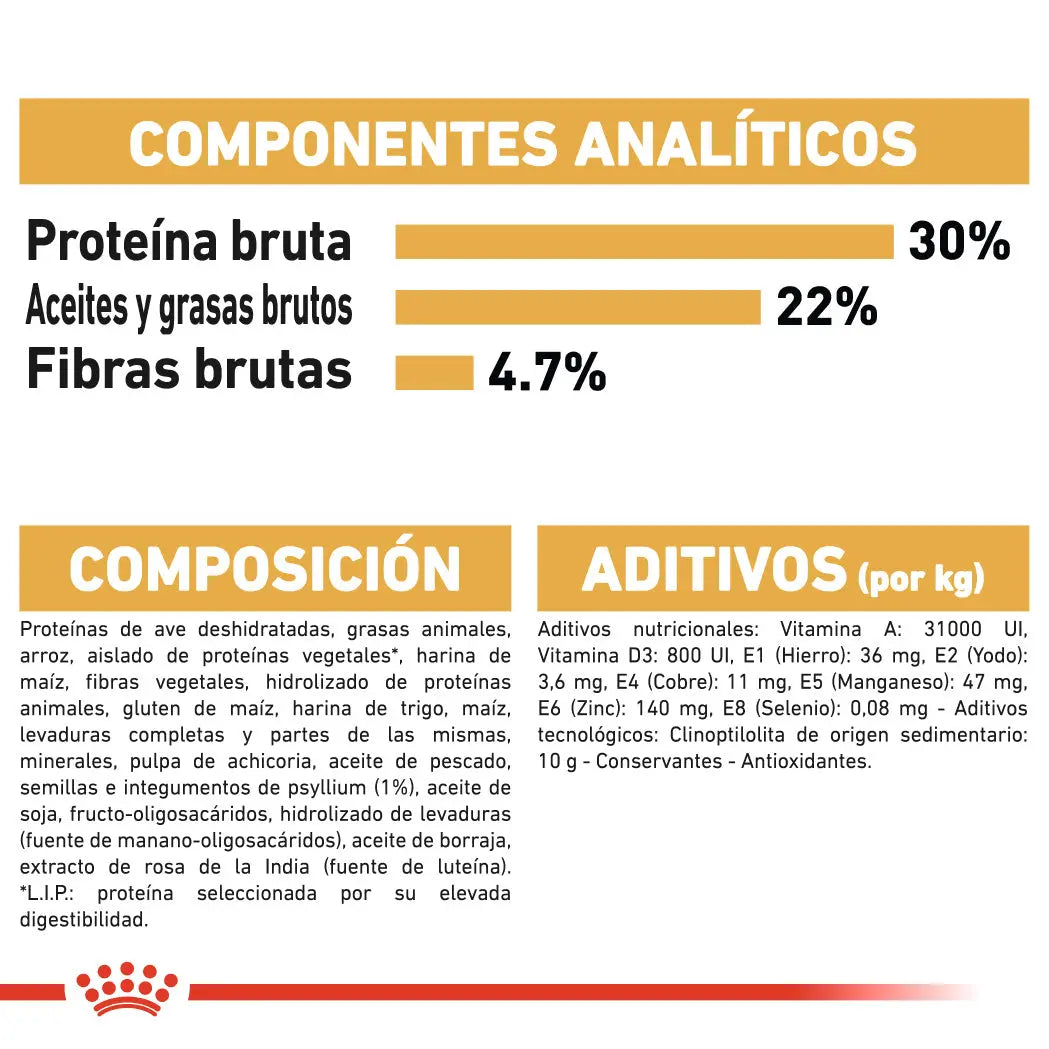 Royal Canin Persian Adulto Pienso para Gatos de Raza Persa al mejor precio -Todoanimal.es