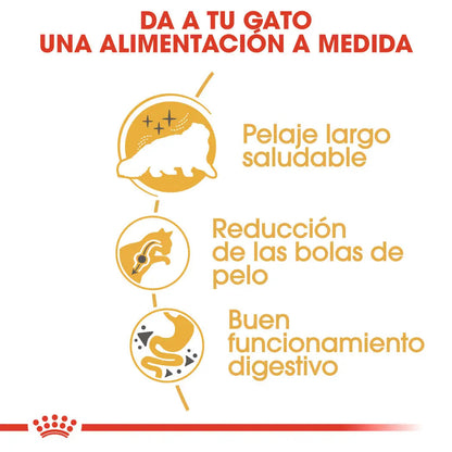 Royal Canin Persian Adulto Pienso para Gatos de Raza Persa al mejor precio -Todoanimal.es
