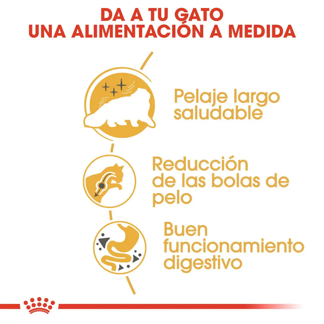Royal Canin Persian Adulto Pienso para Gatos de Raza Persa al mejor precio -Todoanimal.es
