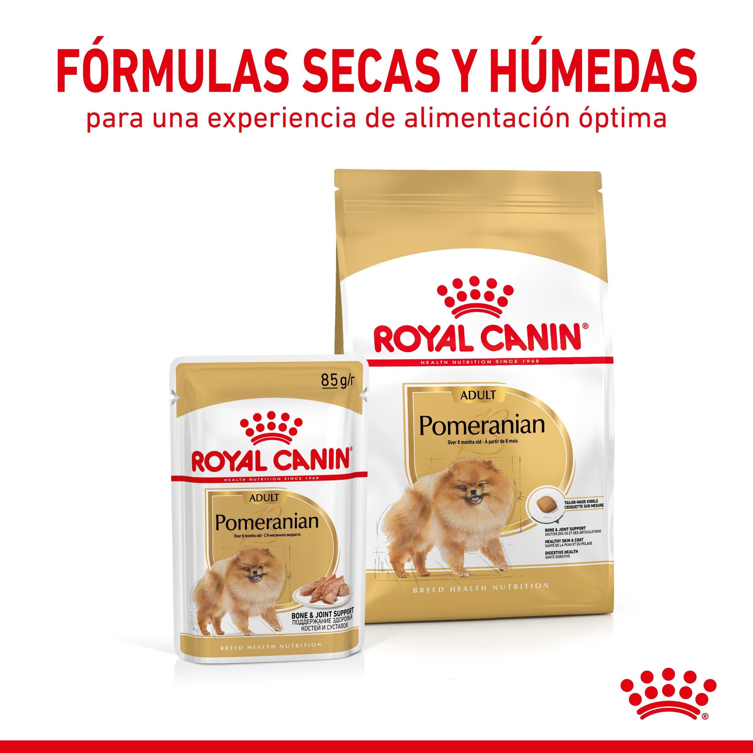 Royal Canin Pomerania Adulto Pienso para Perros de Raza al mejor precio -Todoanimal.es