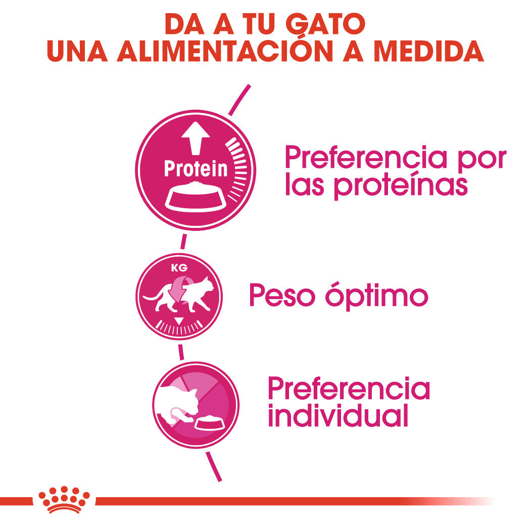 Royal Canin Protein Exigent 2 kg Pienso para Gatos al mejor precio -Todoanimal.es