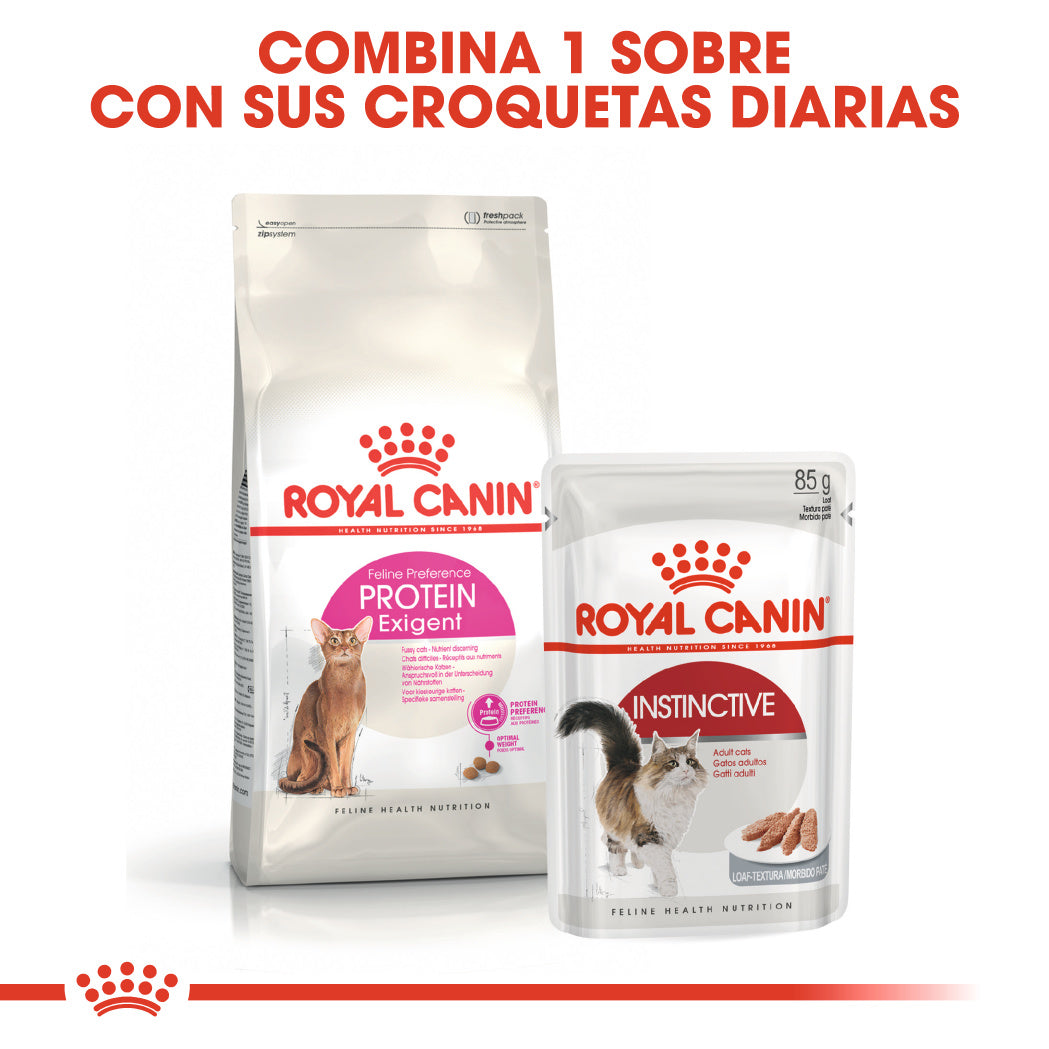 Royal Canin Protein Exigent 2 kg Pienso para Gatos al mejor precio -Todoanimal.es