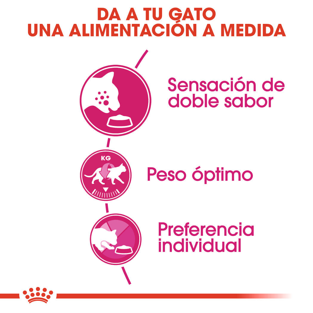 Royal Canin Savour Exigent Pienso para Gatos al mejor precio -Todoanimal.es