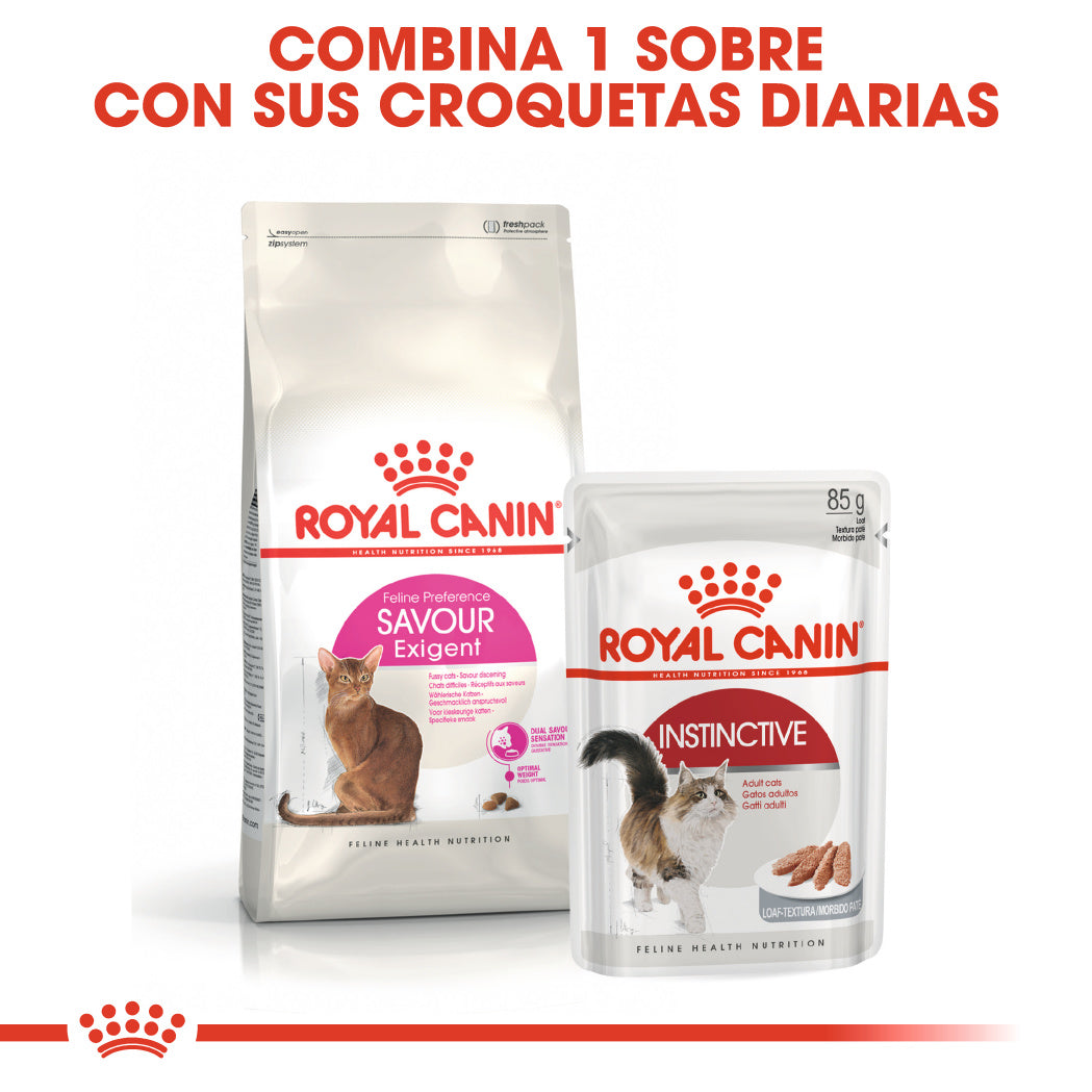 Royal Canin Savour Exigent Pienso para Gatos al mejor precio -Todoanimal.es