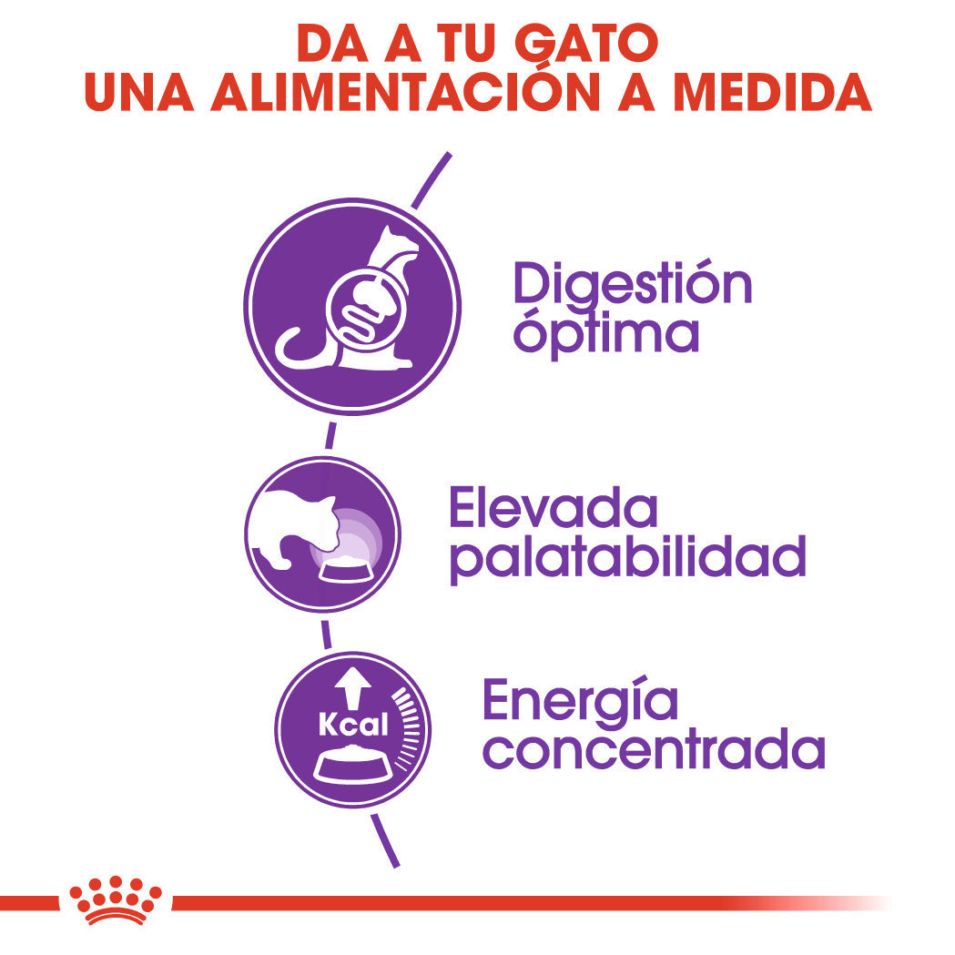 Royal Canin Sensible 33 10 kg Pienso para Gatos al mejor precio -Todoanimal.es