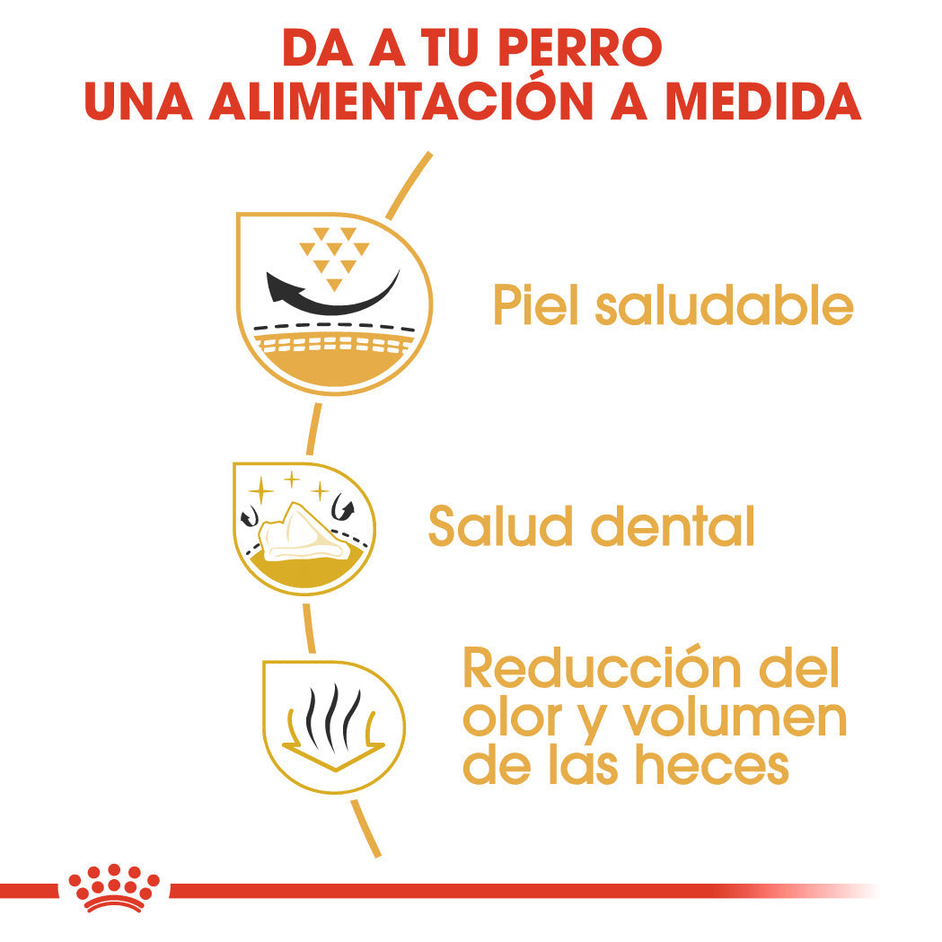 Royal Canin Shih Tzu Adulto Pienso para Perros de Raza al mejor precio -Todoanimal.es