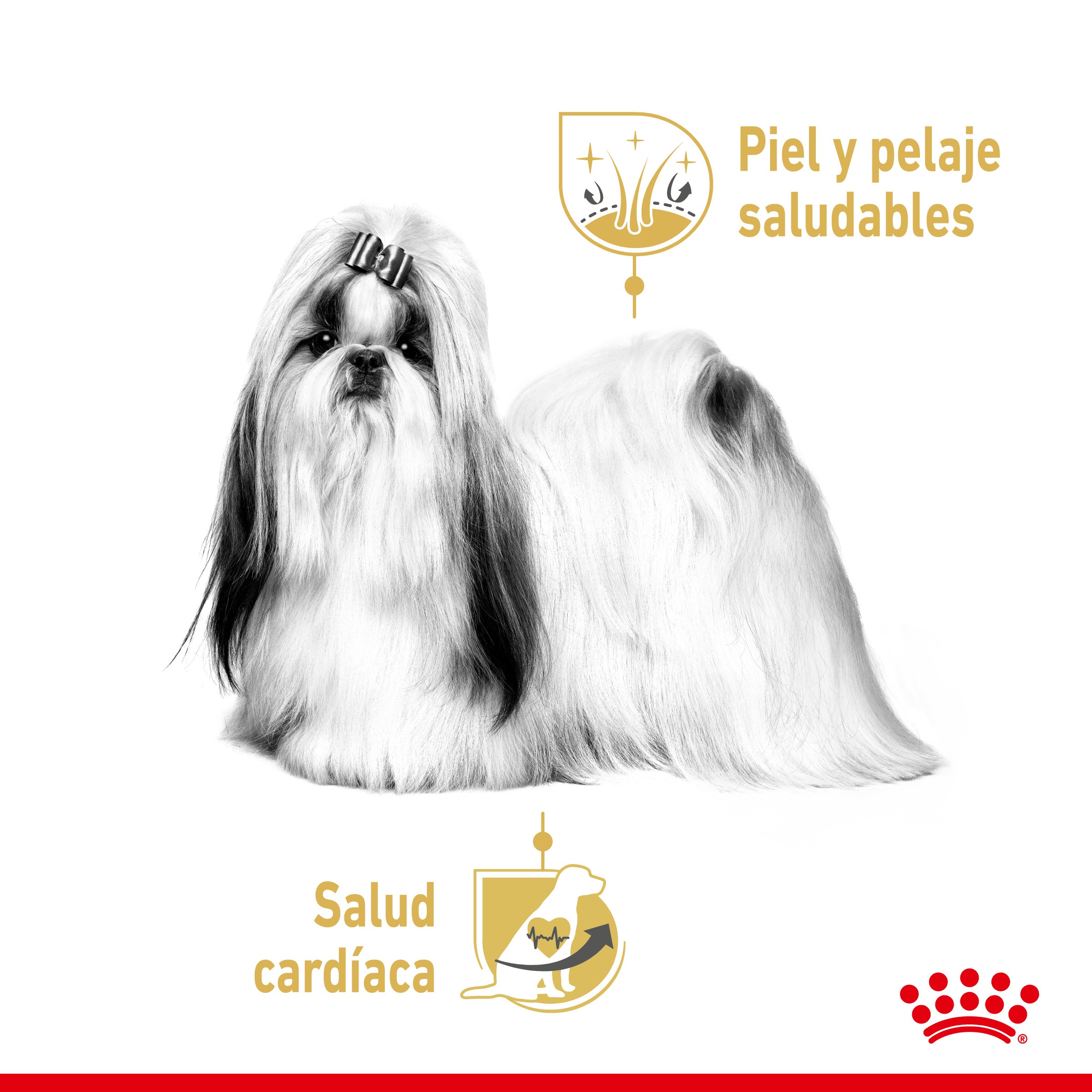 Royal Canin Shih Tzu Paté Adulto 85 g Comida Húmeda para Perros al mejor precio -Todoanimal.es