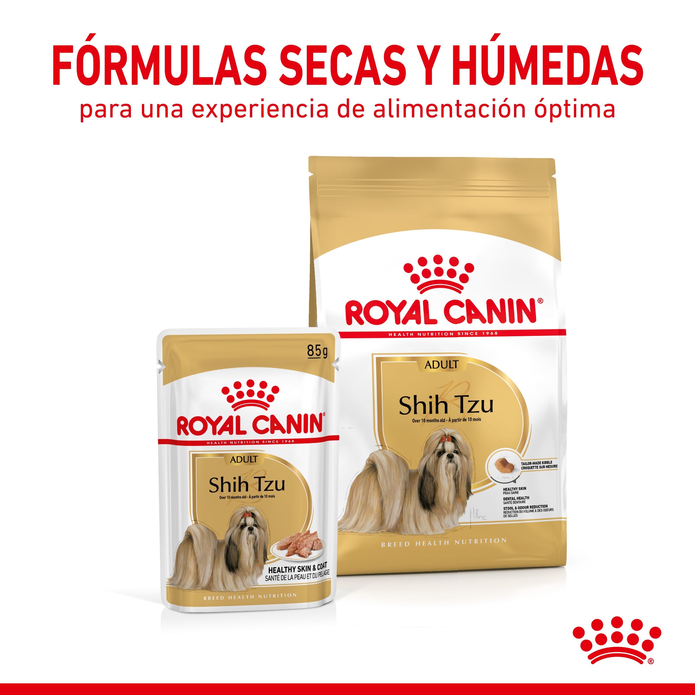 Royal Canin Shih Tzu Paté Adulto 85 g Comida Húmeda para Perros al mejor precio -Todoanimal.es
