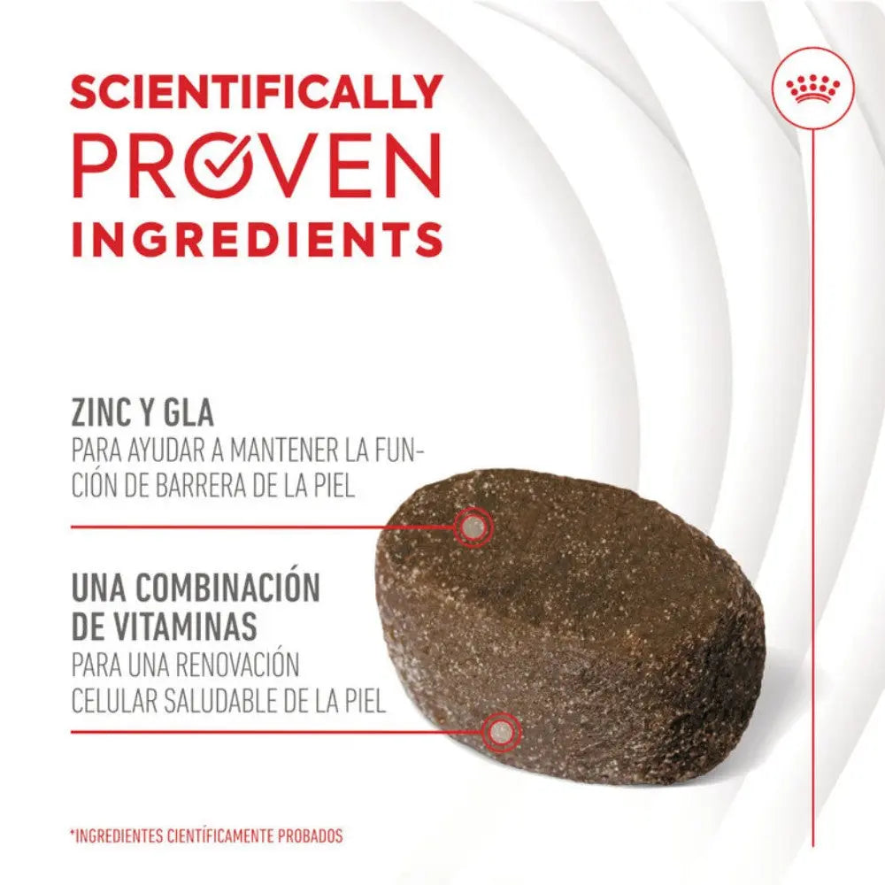 Royal Canin Skin & Coat Chews 240 g Suplemento para Perros Adultos al mejor precio -Todoanimal.es