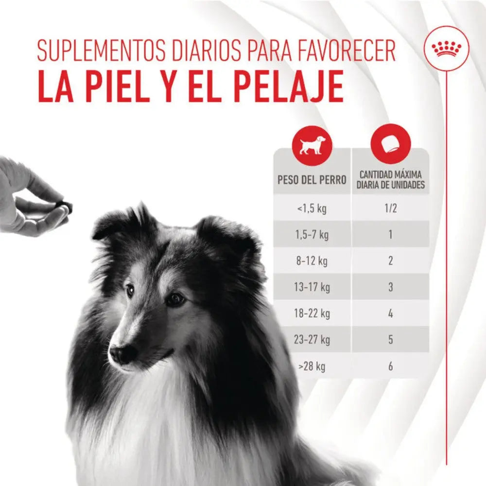 Royal Canin Skin & Coat Chews 240 g Suplemento para Perros Adultos al mejor precio -Todoanimal.es