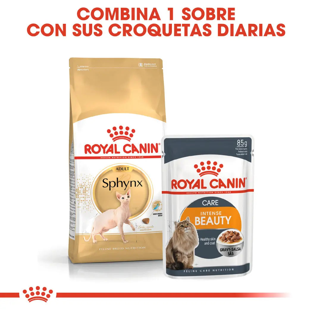 Royal Canin Sphynx 10 kg Pienso para Gatos Egipcios al mejor precio -Todoanimal.es