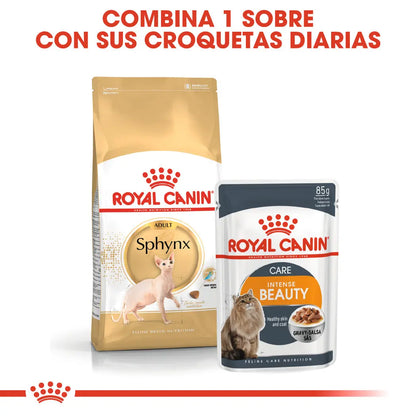 Royal Canin Sphynx 10 kg Pienso para Gatos Egipcios al mejor precio -Todoanimal.es