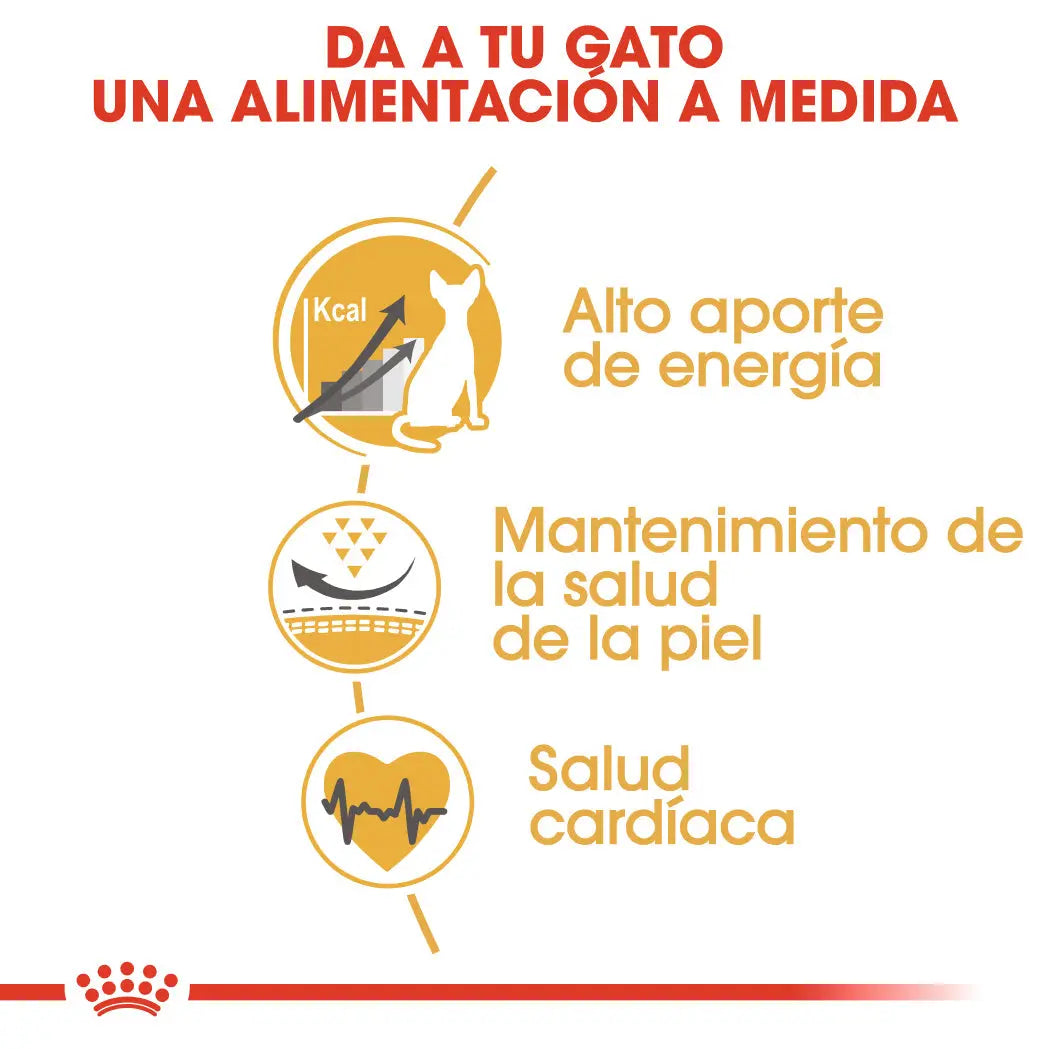 Royal Canin Sphynx 10 kg Pienso para Gatos Egipcios al mejor precio -Todoanimal.es