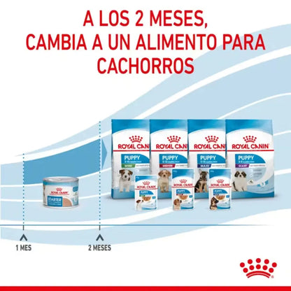 Royal Canin Starter Mousse Lata 195 g Húmedo al mejor precio -Todoanimal.es
