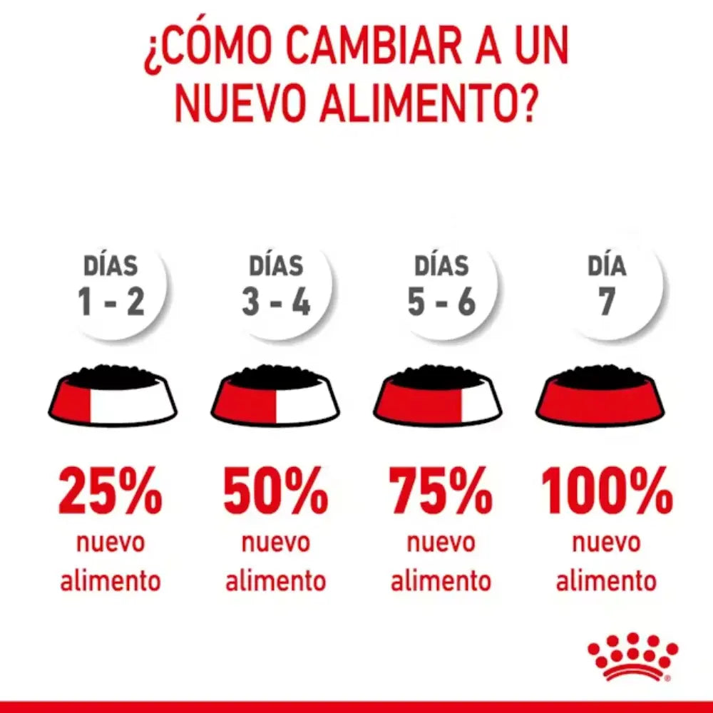 Royal Canin Starter Mousse Lata 195 g Húmedo al mejor precio -Todoanimal.es