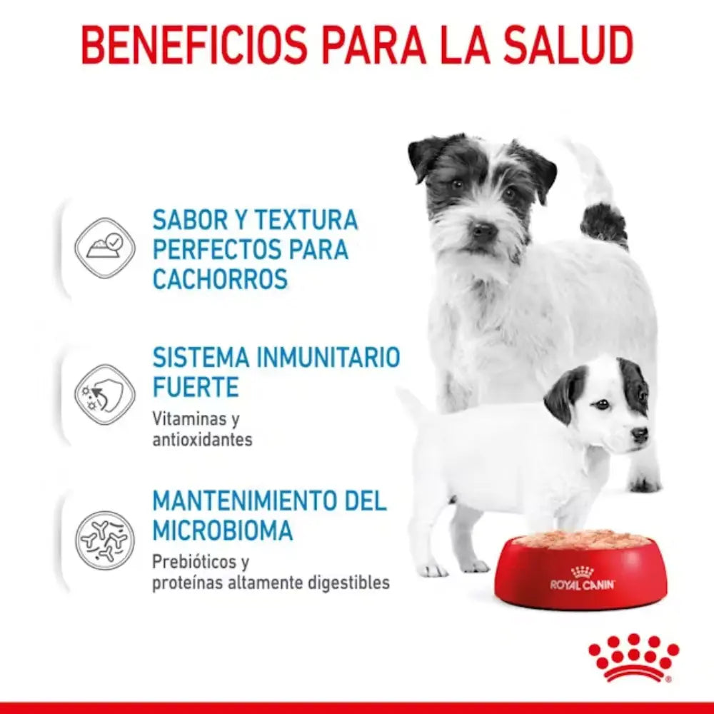 Royal Canin Starter Mousse Lata 195 g Húmedo al mejor precio -Todoanimal.es