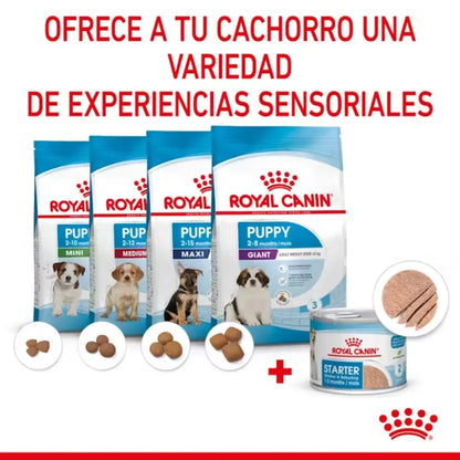 Royal Canin Starter Mousse Lata 195 g Húmedo al mejor precio -Todoanimal.es