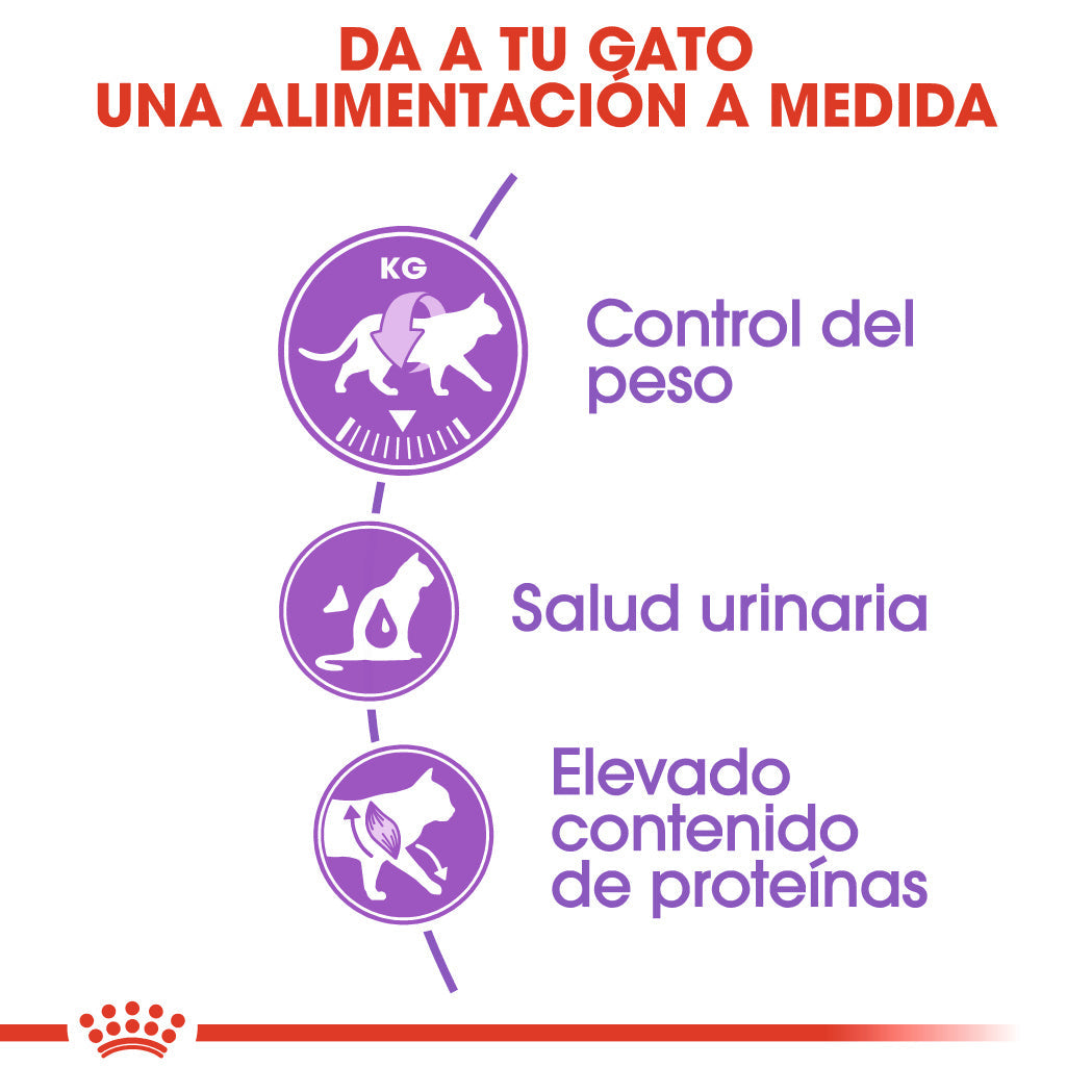 Royal Canin Sterilized 37 Pienso para Gatos Esterilizados al mejor precio -Todoanimal.es