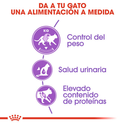 Royal Canin Sterilized 37 Pienso para Gatos Esterilizados al mejor precio -Todoanimal.es