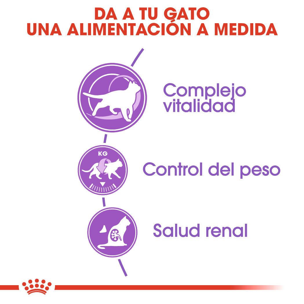 Royal Canin Sterilized 7+ Pienso para Gatos Esterlizados al mejor precio -Todoanimal.es