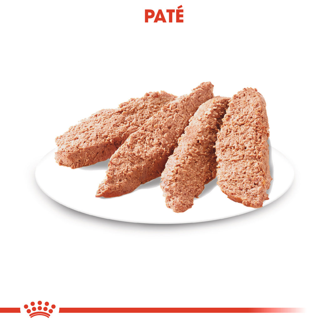 Royal Canin Sterilized Care Paté 85 g Comida Húmeda para Perros al mejor precio -Todoanimal.es