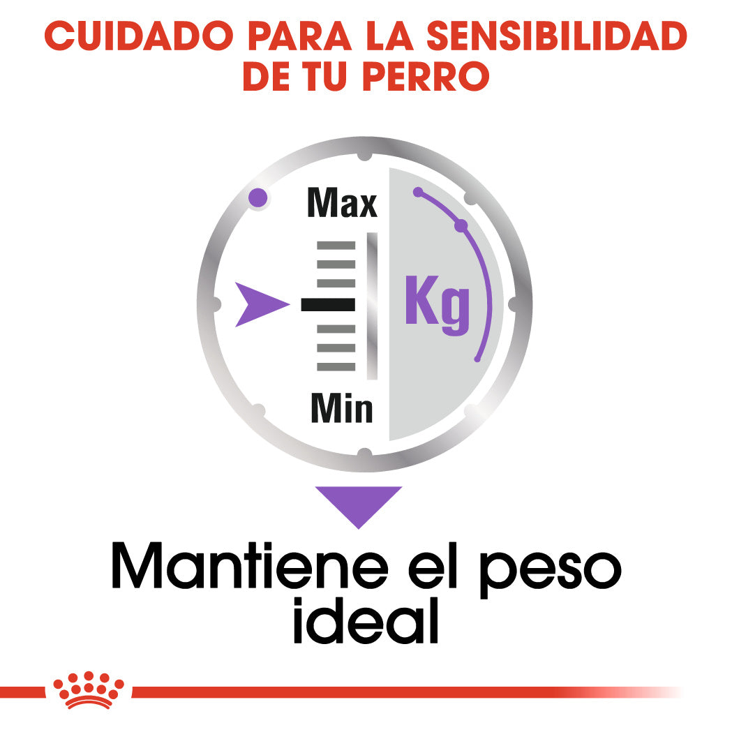 Royal Canin Sterilized Care Paté 85 g Comida Húmeda para Perros al mejor precio -Todoanimal.es