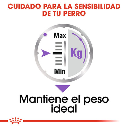 Royal Canin Sterilized Care Paté 85 g Comida Húmeda para Perros al mejor precio -Todoanimal.es