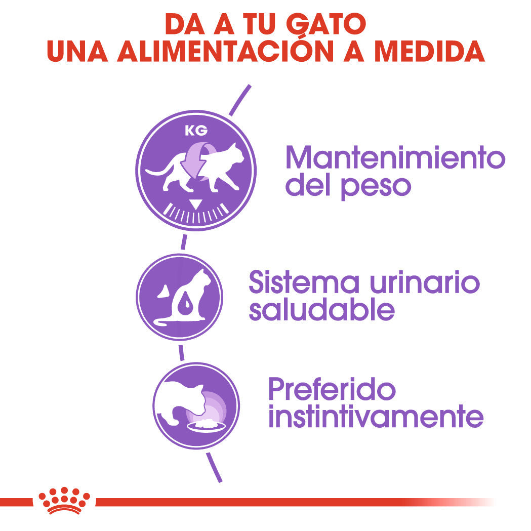 Royal Canin Sterilized Gelatina 85 g Alimento Húmedo para Gatos Esterilizados al mejor precio -Todoanimal.es