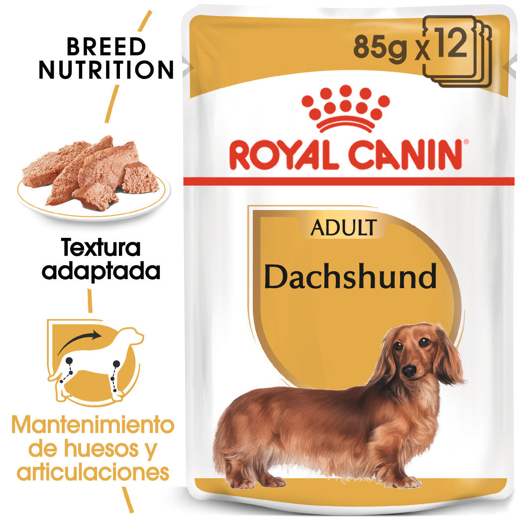 Royal Canin Teckel Dachshund Paté 85 g Comida Húmeda para Perros Salchicha al mejor precio -Todoanimal.es