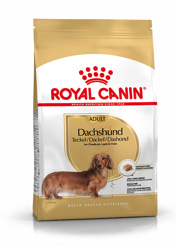 Royal Canin Teckel Dachsund Adulto Pienso para Perros de Raza al mejor precio -Todoanimal.es