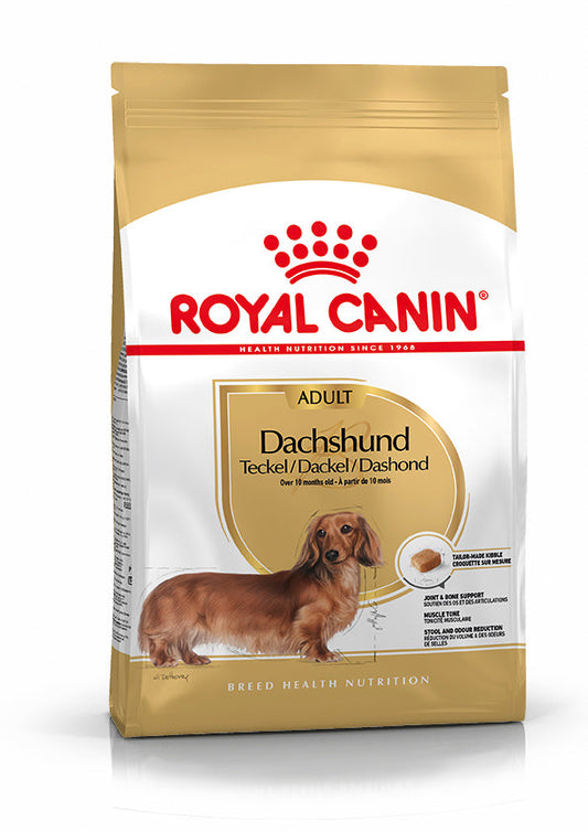 Royal Canin Teckel Dachsund Adulto Pienso para Perros de Raza al mejor precio -Todoanimal.es
