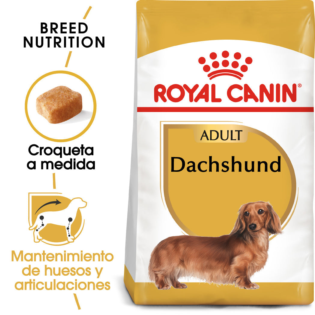 Royal Canin Teckel Dachsund Adulto Pienso para Perros de Raza al mejor precio -Todoanimal.es